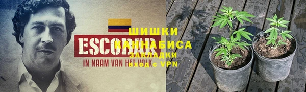 ПСИЛОЦИБИНОВЫЕ ГРИБЫ Балахна