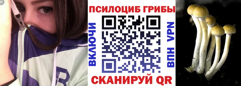 дарнет шоп  Волгореченск  Псилоцибиновые грибы мухоморы 